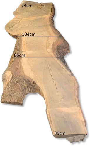 Boomstamblad | Eik | 306cm lang | 7cm dik |  B02